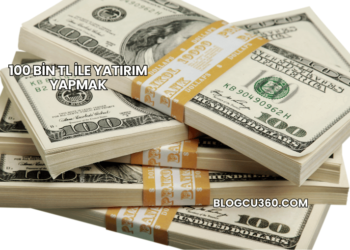 100 Bin TL ile Yatırım Yapmak