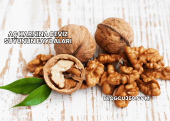 Aç Karnına Ceviz Suyunun Faydaları