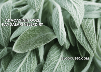 Adaçayının Göze Faydaları Nelerdir?