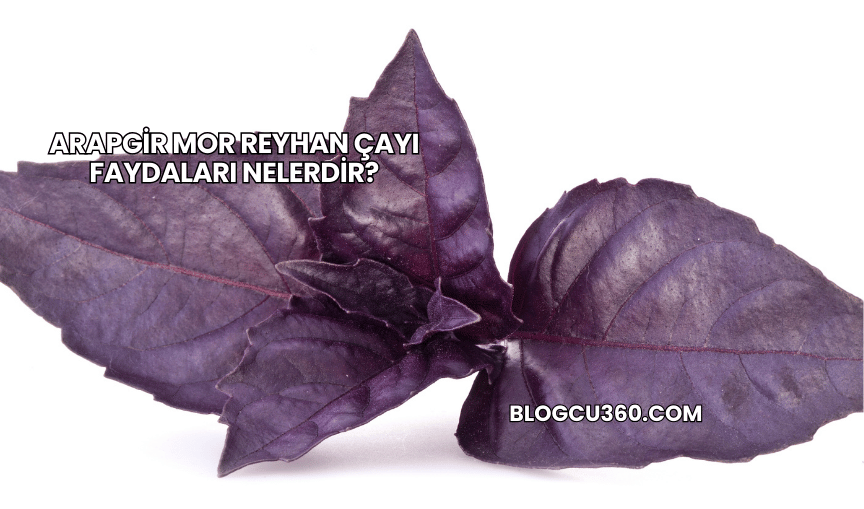 Arapgir Mor Reyhan Çayı Faydaları Nelerdir?