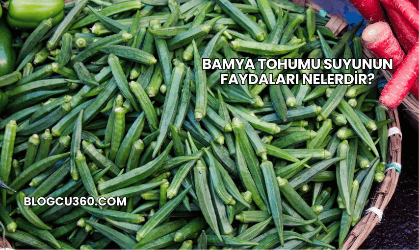 Bamya Tohumu Suyunun Faydaları Nelerdir?