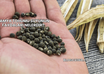Bamya Tohumu Suyunun Faydaları Nelerdir?