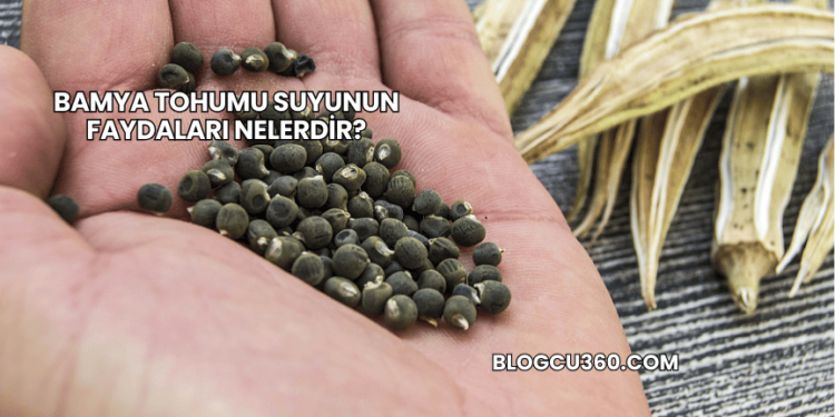 Bamya Tohumu Suyunun Faydaları Nelerdir?