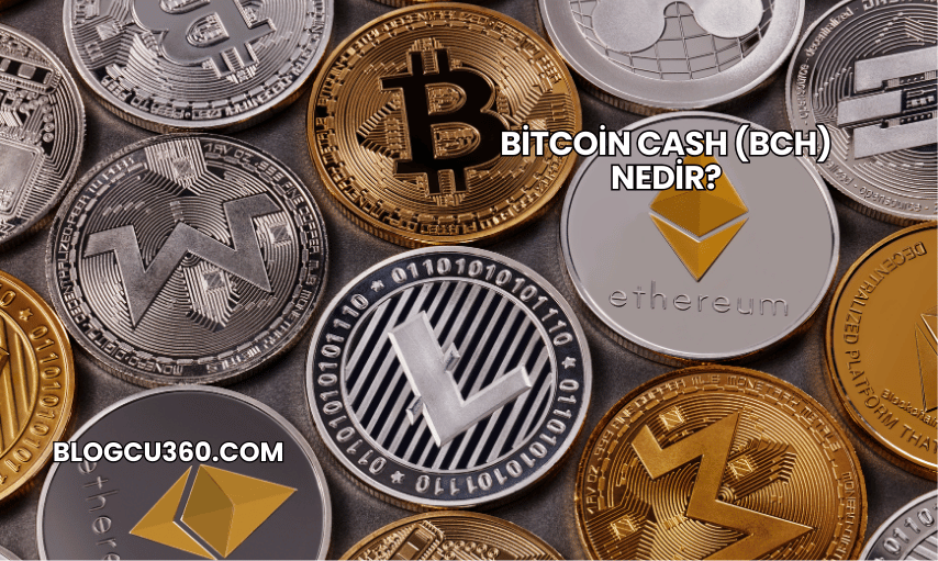 Bitcoin Cash (BCH) Nedir?