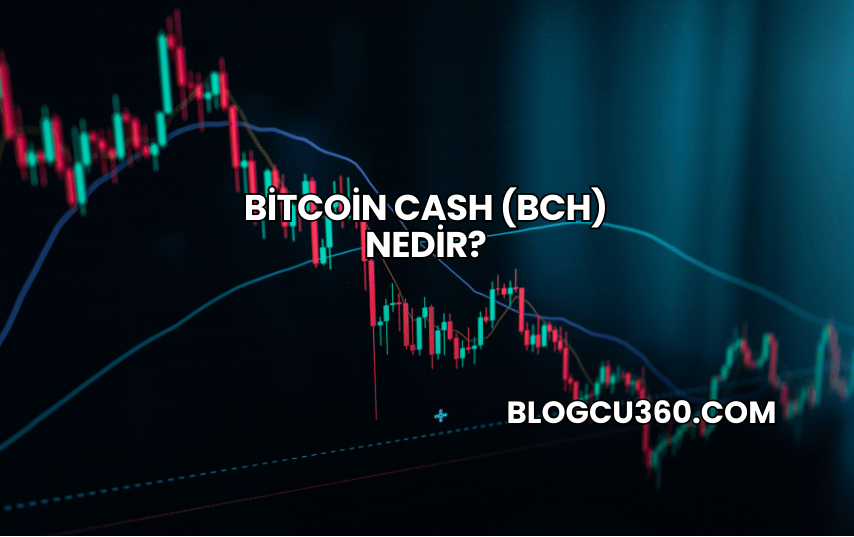 Bitcoin Cash (BCH) Nedir?