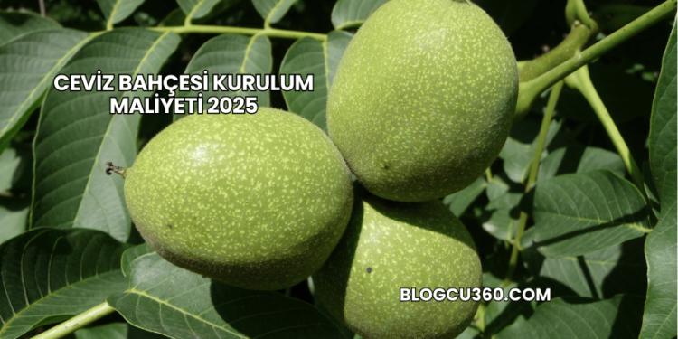 Ceviz Bahçesi Kurulum Maliyeti 2025