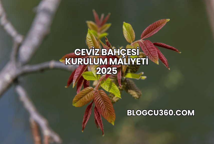 Ceviz Bahçesi Kurulum Maliyeti 2025