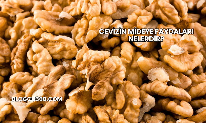 Cevizin Mideye Faydaları Nelerdir?