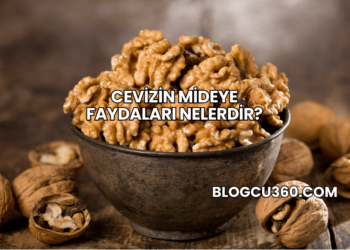 Cevizin Mideye Faydaları Nelerdir?