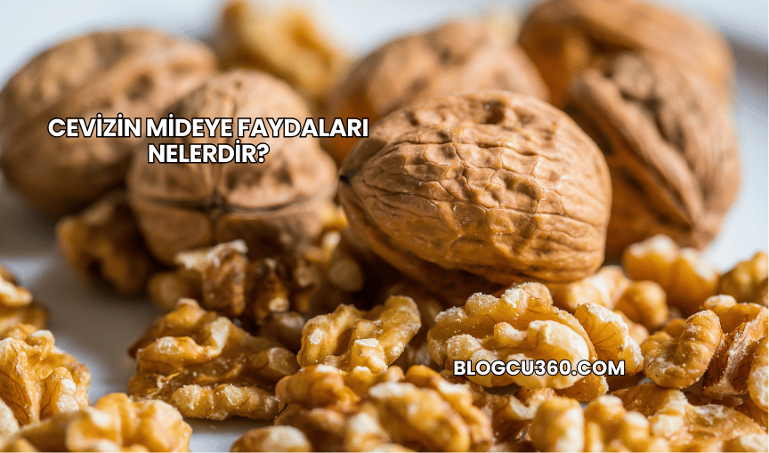Cevizin Mideye Faydaları Nelerdir?