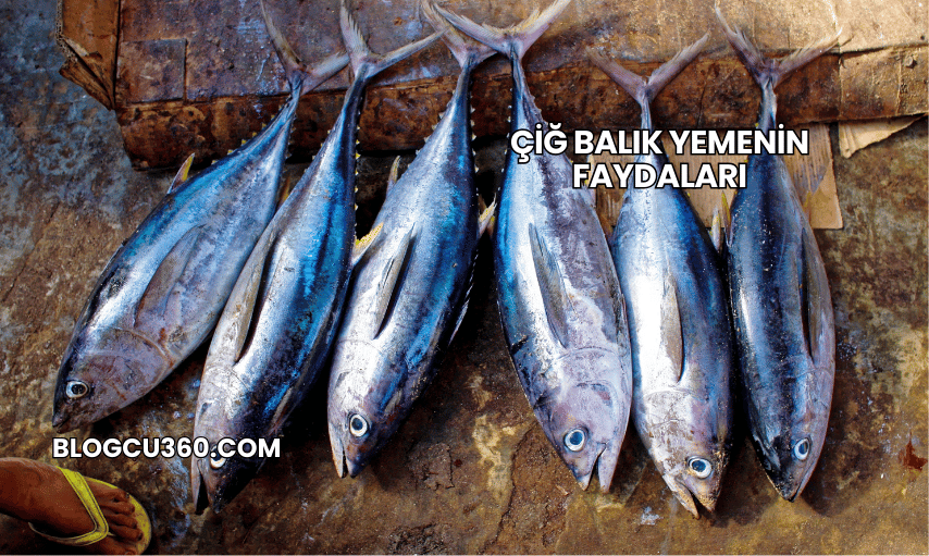 Çiğ Balık Yemenin Faydaları