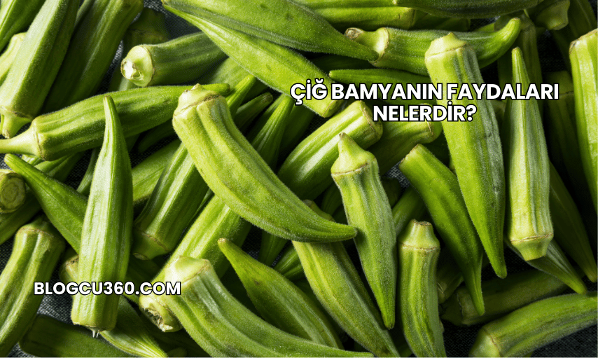 Çiğ Bamyanın Faydaları Nelerdir?