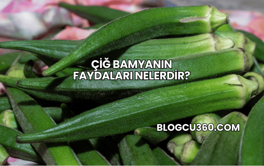 Çiğ Bamyanın Faydaları Nelerdir?