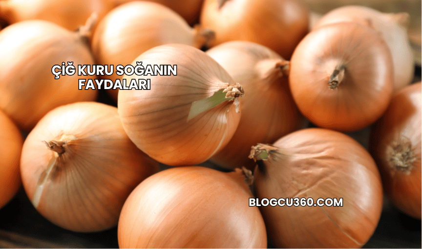 Çiğ Kuru Soğanın Faydaları