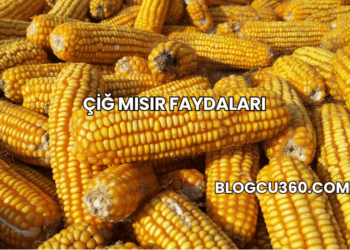 Çiğ Mısır Faydaları