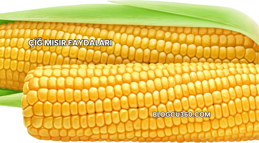 Çiğ Mısır Faydaları