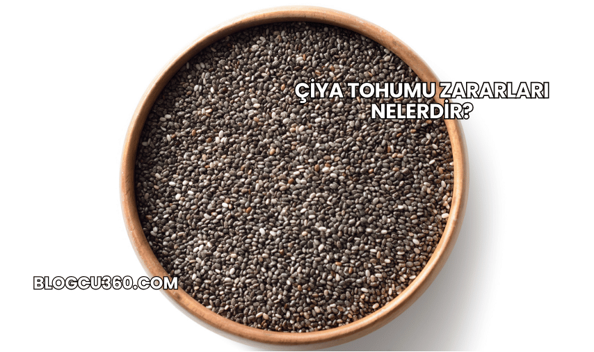 Çiya Tohumu Zararları Nelerdir?