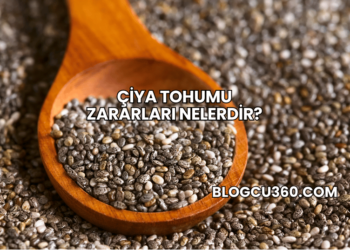 Çiya Tohumu Zararları Nelerdir?