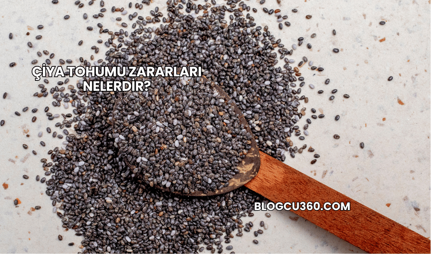 Çiya Tohumu Zararları Nelerdir?