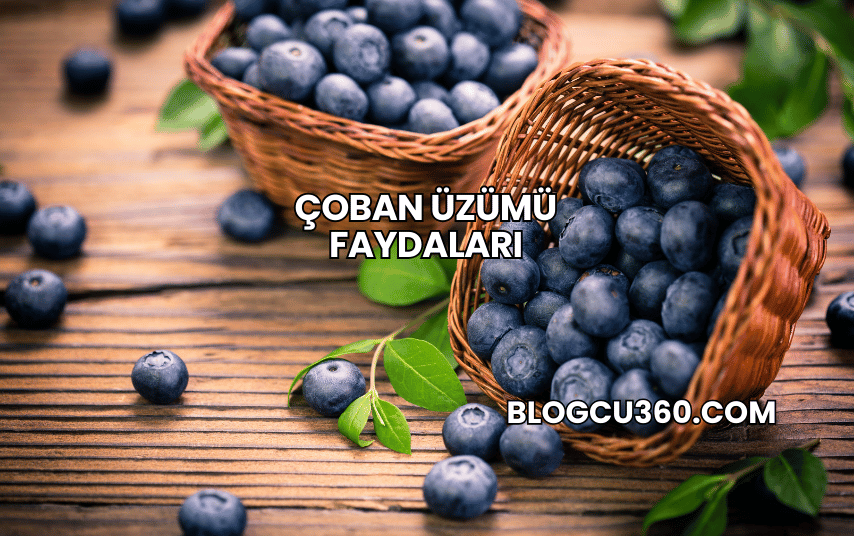 Çoban Üzümü Faydaları