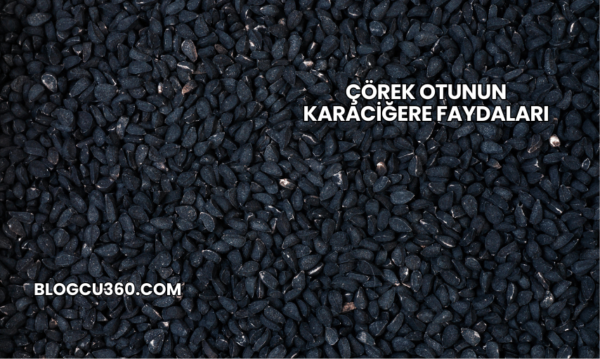 Çörek Otunun Karaciğere Faydaları