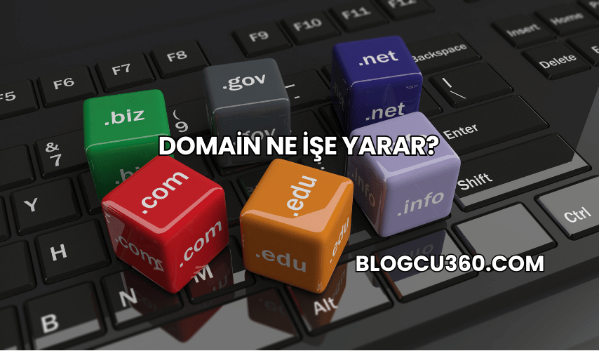 Domain Ne İşe Yarar?