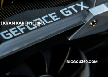 Ekran Kartı Nedir?