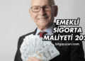 Emekli Sigorta Maliyeti 2025