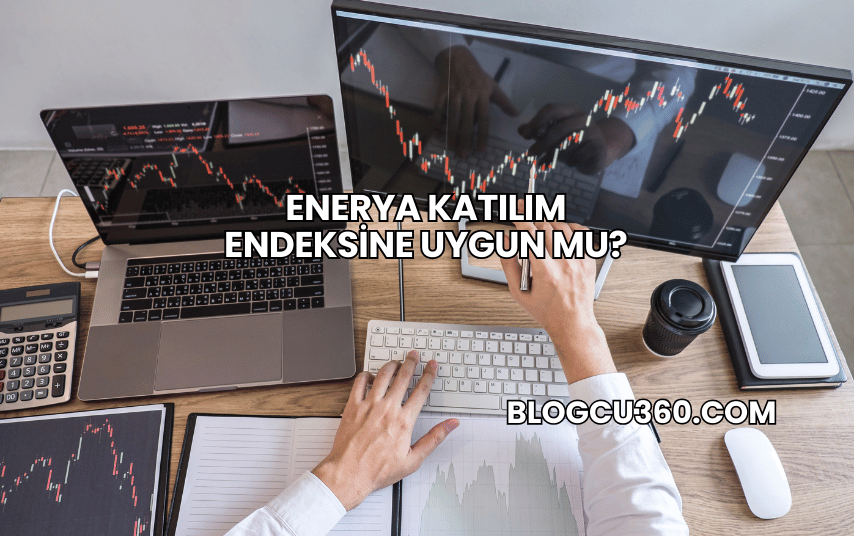 Enerya Katılım Endeksine Uygun mu?