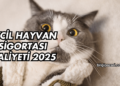 Evcil Hayvan Sigortası Maliyeti 2025