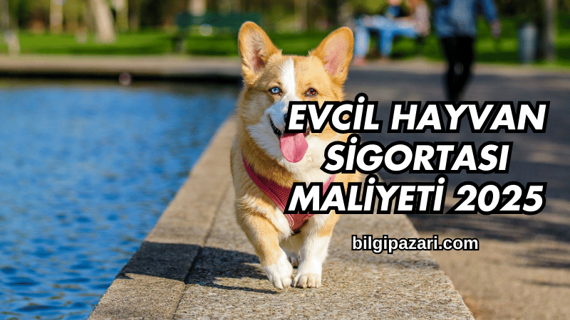 Evcil Hayvan Sigortası Maliyeti 2025