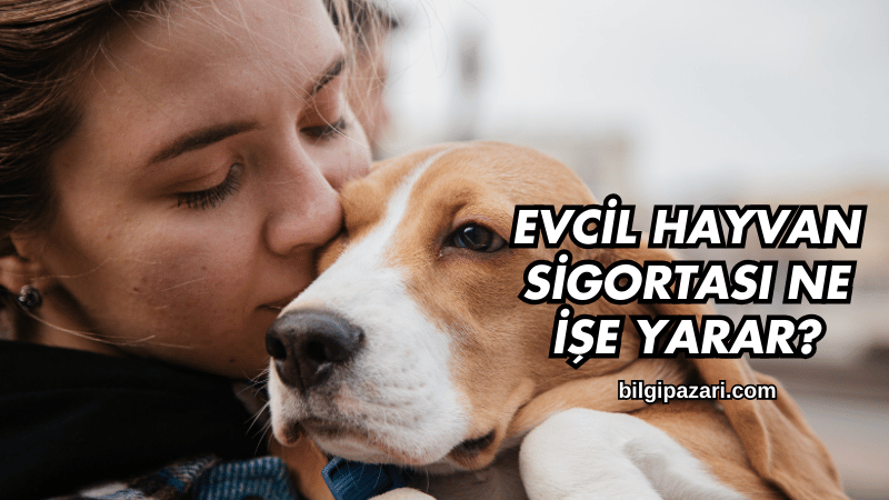 Evcil Hayvan Sigortası Ne İşe Yarar?