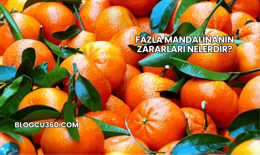 Fazla Mandalinanın Zararları Nelerdir?