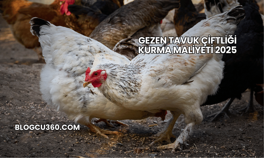 Gezen Tavuk Çiftliği Kurma Maliyeti 2025