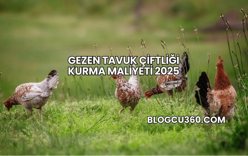 Gezen Tavuk Çiftliği Kurma Maliyeti 2025