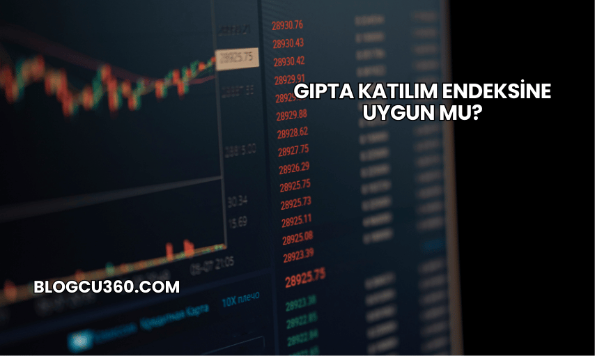 Gıpta Katılım Endeksine Uygun mu?