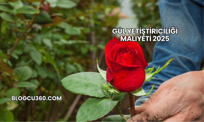 Gül Yetiştiriciliği Maliyeti 2025