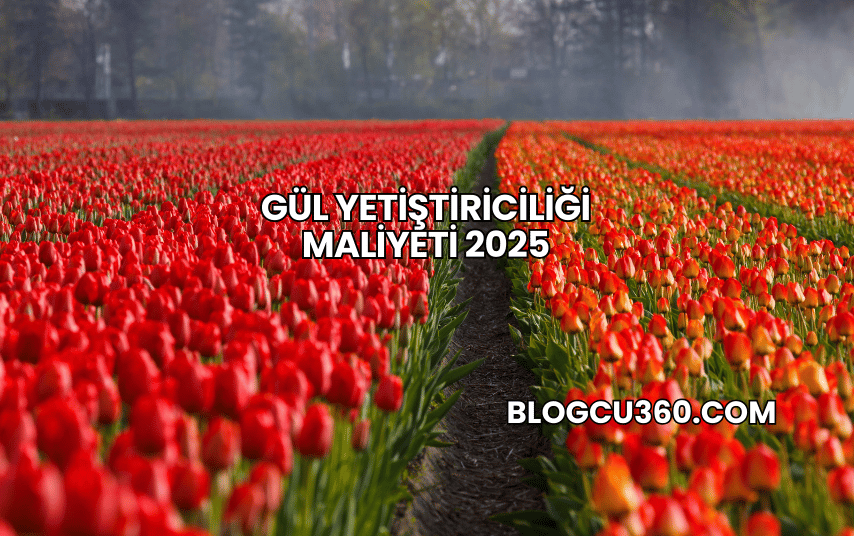 Gül Yetiştiriciliği Maliyeti 2025