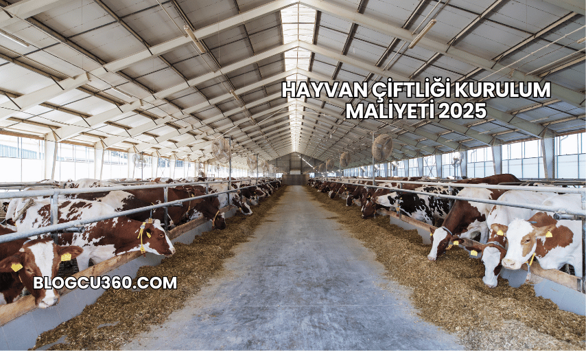 Hayvan Çiftliği Kurulum Maliyeti 2025