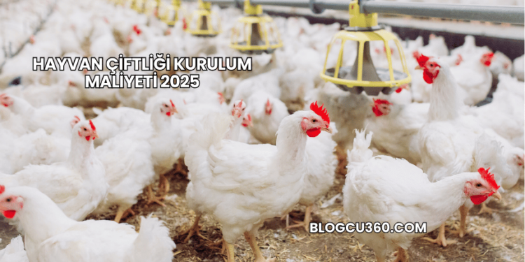 Hayvan Çiftliği Kurulum Maliyeti 2025