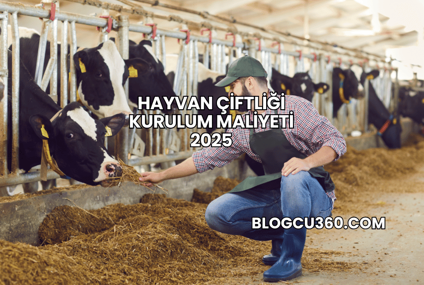 Hayvan Çiftliği Kurulum Maliyeti 2025