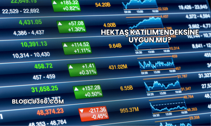 Hektaş Katılım Endeksine Uygun mu?