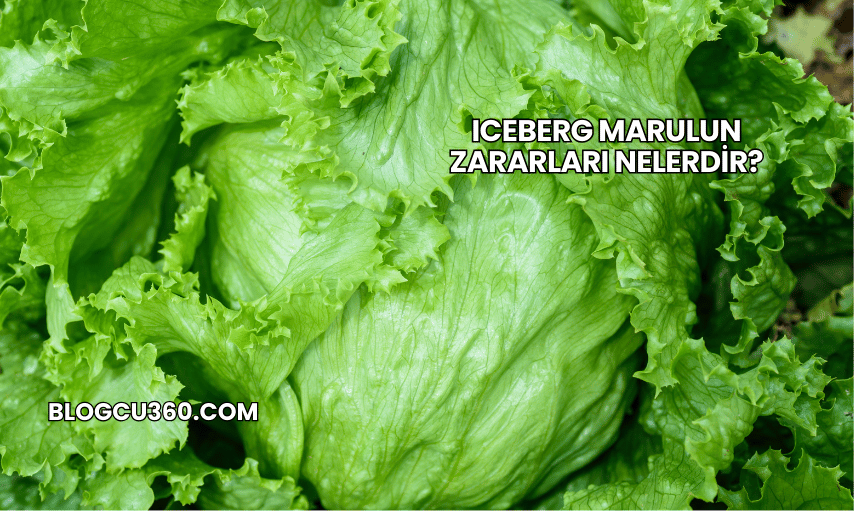 Iceberg Marulun Zararları Nelerdir?