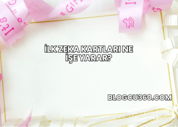 İlk Zeka Kartları Ne İşe Yarar?