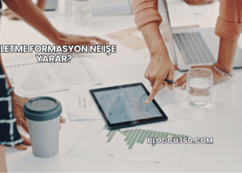 İşletme Formasyon Ne İşe Yarar?