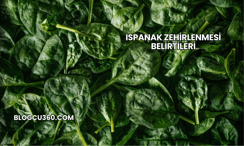 Ispanak Zehirlenmesi Belirtileri