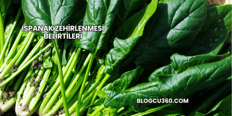 Ispanak Zehirlenmesi Belirtileri