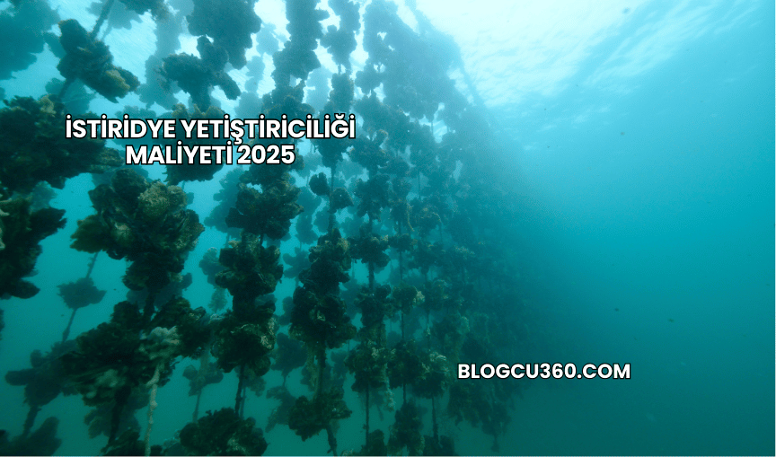 İstiridye Yetiştiriciliği Maliyeti 2025