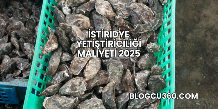 İstiridye Yetiştiriciliği Maliyeti 2025