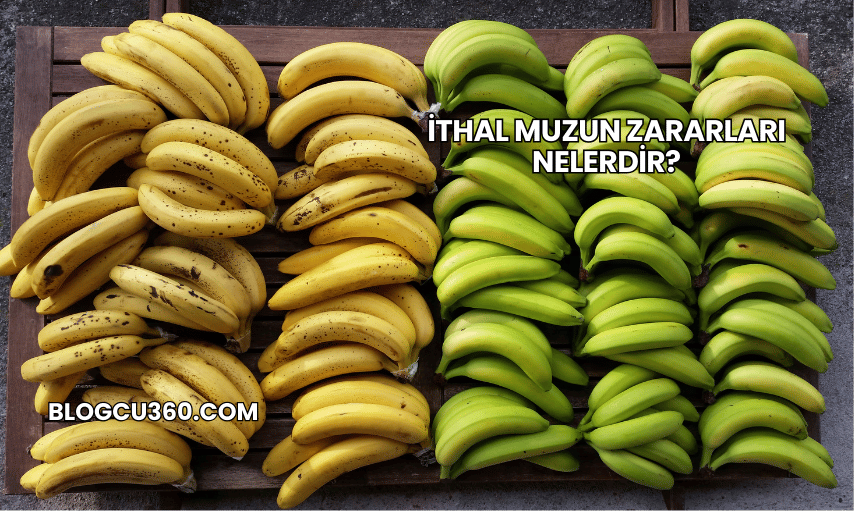 İthal Muzun Zararları Nelerdir?